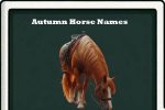 autumn horse names