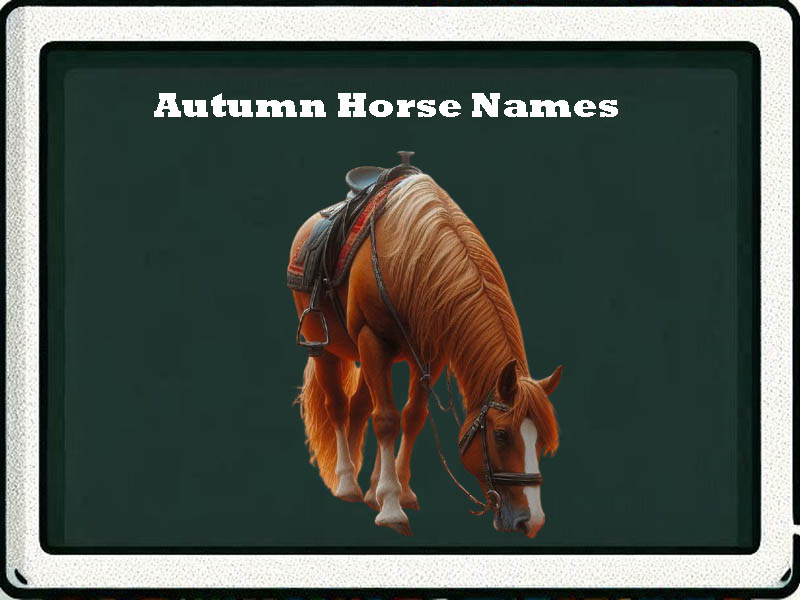 autumn horse names