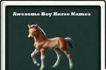 awesome boy horse names-