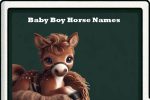 baby boy horse names