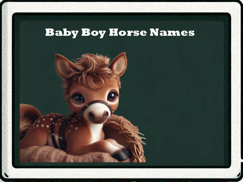 baby boy horse names