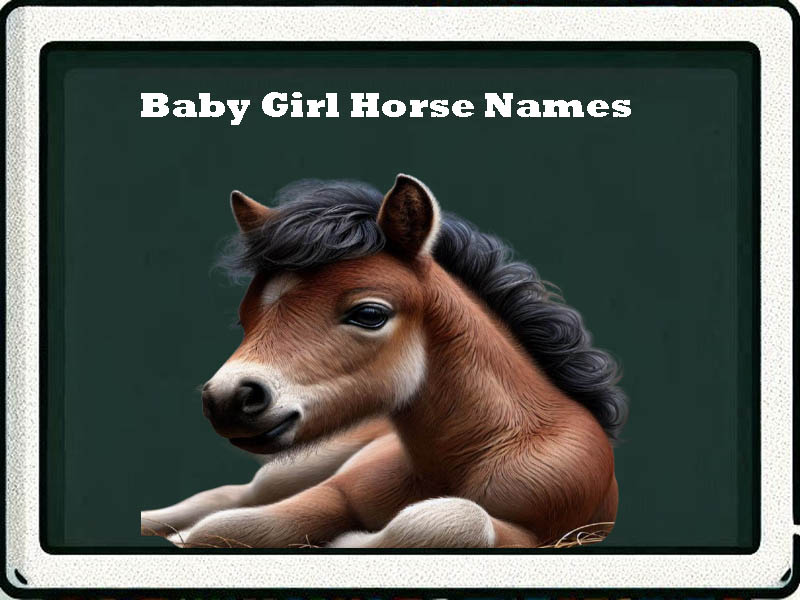 baby girl horse names