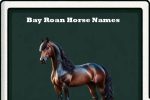 bay roan horse names