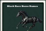 black race horse names-