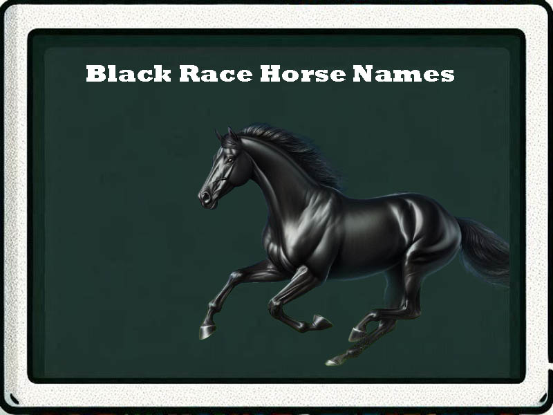 black race horse names-