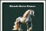 blonde horse names