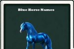 blue horse names