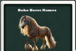 boho horse names