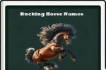 bucking horse names