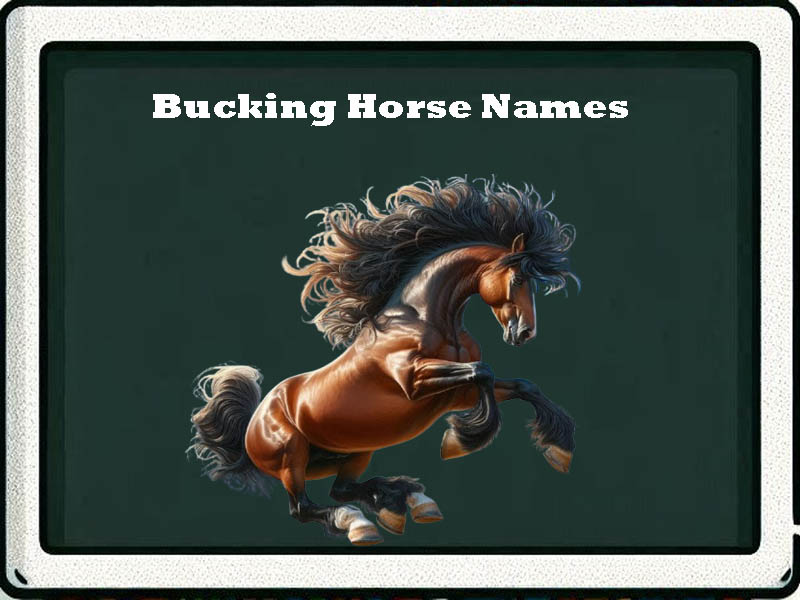 bucking horse names