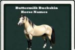 buttermilk buckskin horse names