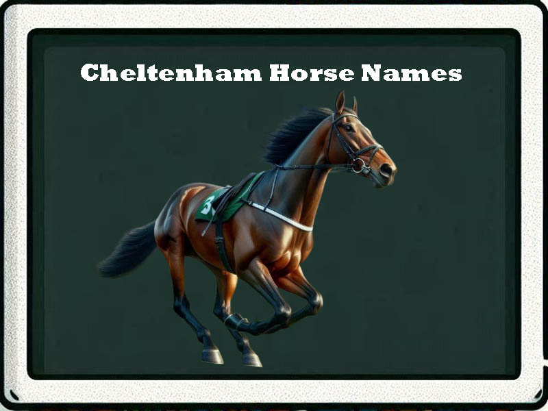 cheltenham horse names