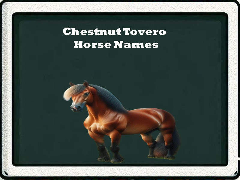 chestnut tovero Horse Names