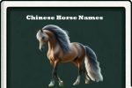 chinese horse names