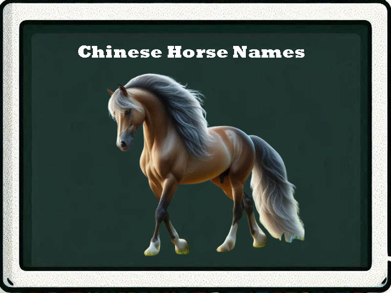 chinese horse names