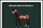 classic horse names-