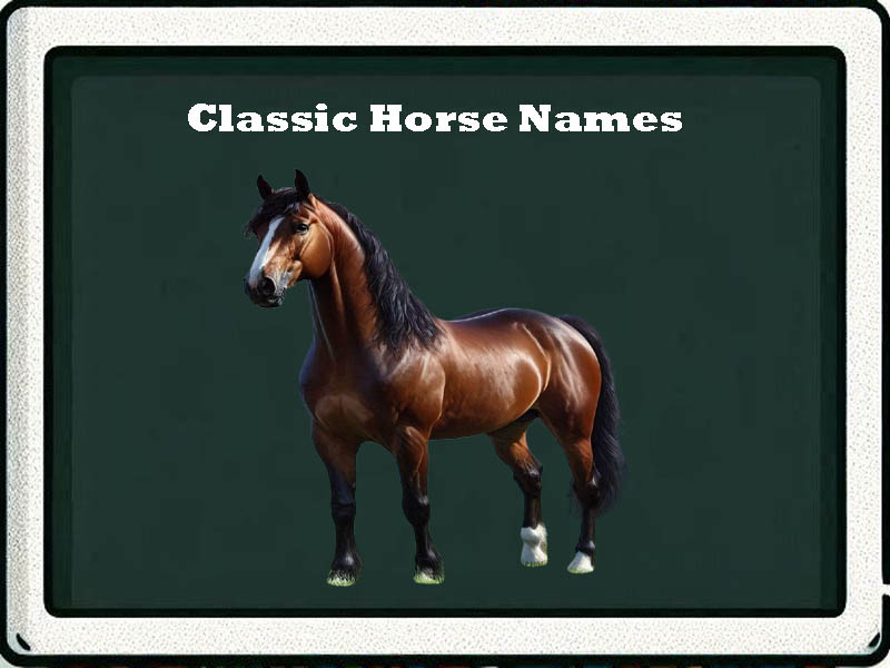 classic horse names-