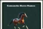 comanche horse names