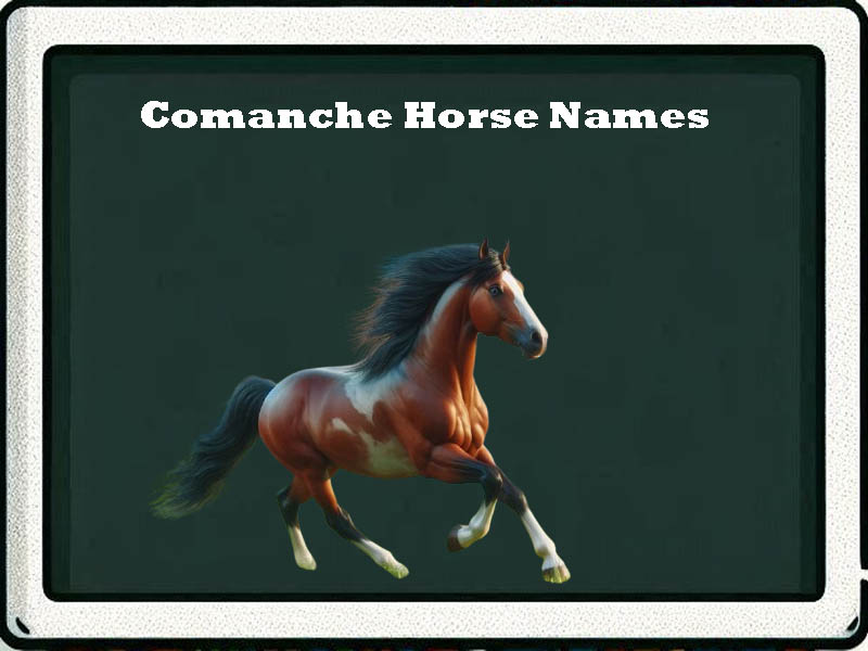 comanche horse names