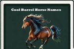 cool barrel horse names