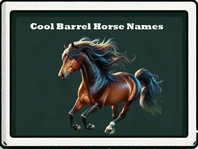 cool barrel horse names