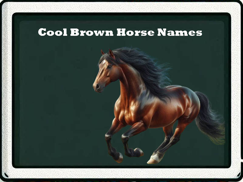 cool brown horse names