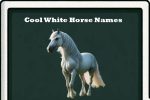 cool white horse names