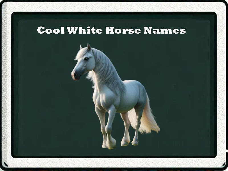 cool white horse names