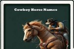 cowboy horse names