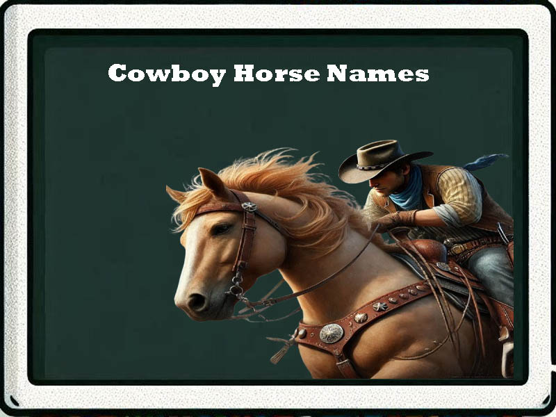 cowboy horse names