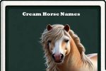 cream horse names