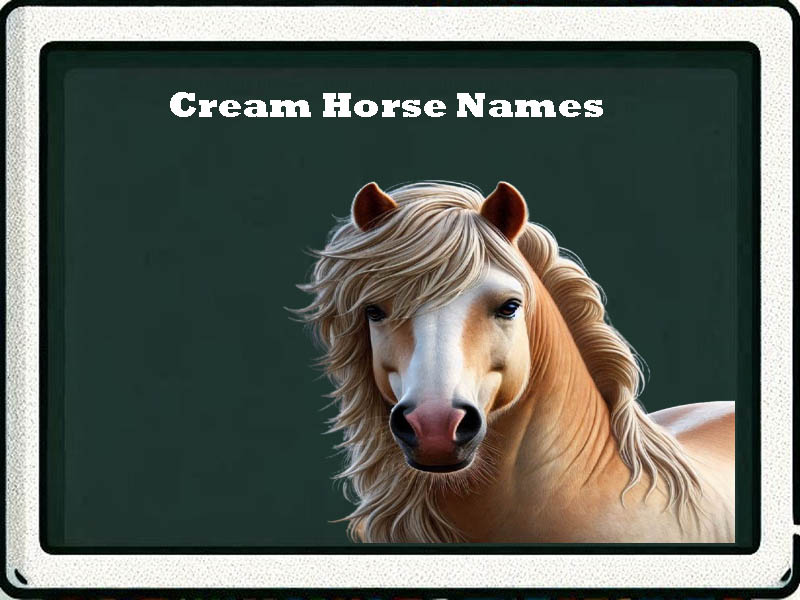 cream horse names