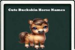 cute buckskin horse names