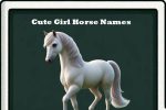 cute girl horse names