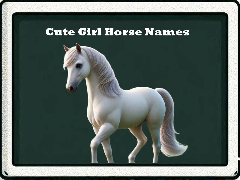 cute girl horse names