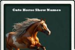 cute horse show names