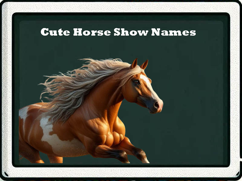 cute horse show names