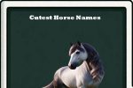 cutest horse names