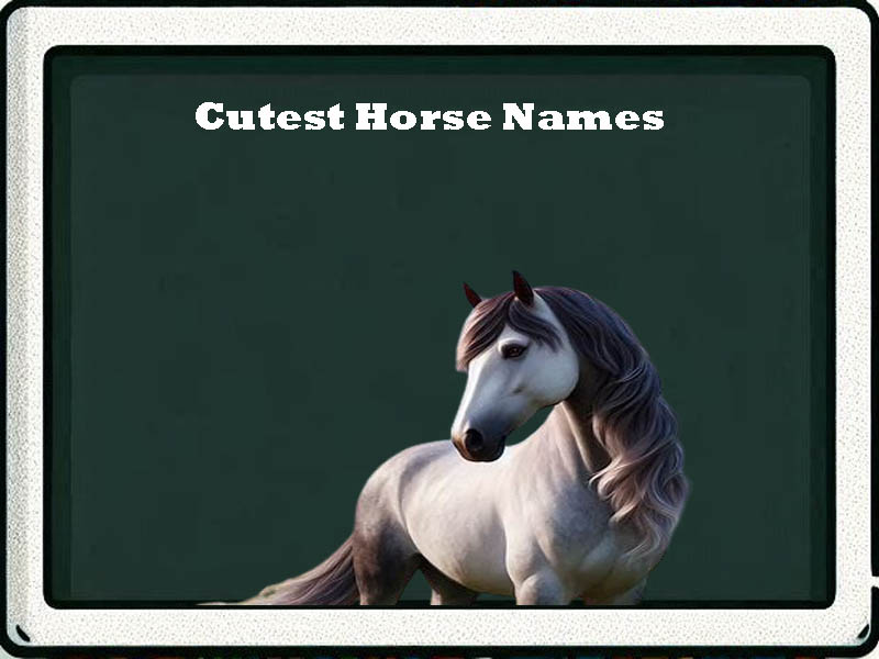 cutest horse names