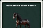 dark brown horse names