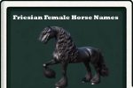 friesian female horse names