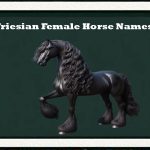 friesian female horse names