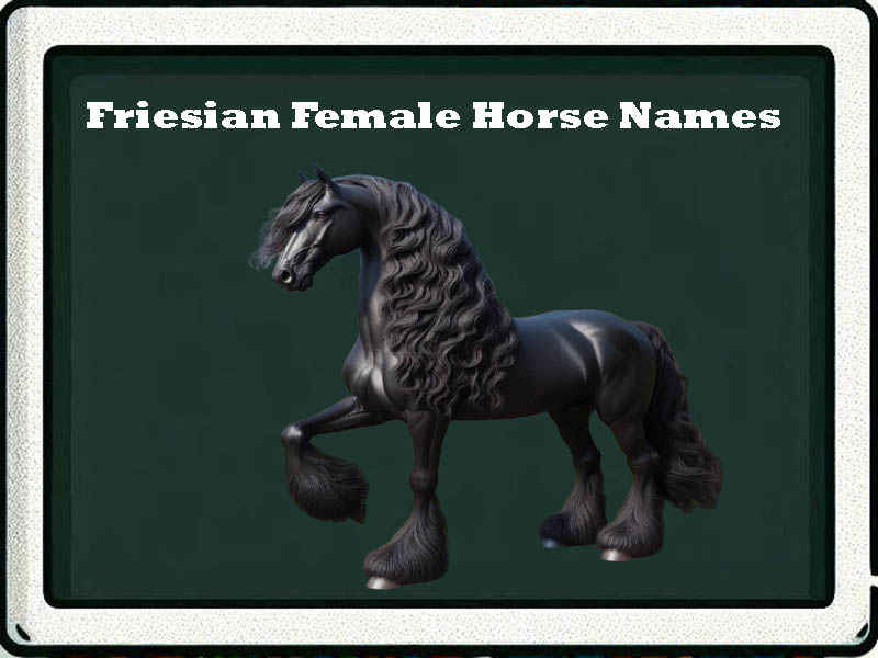 friesian female horse names