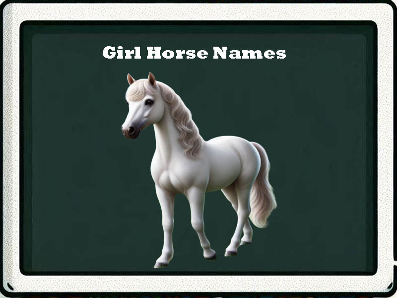 girl horse names