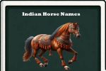 indian horse names