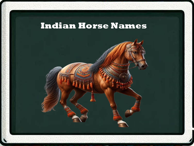 indian horse names