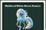 mytical white Horse Names