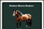 nature horse names