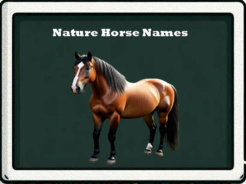 nature horse names