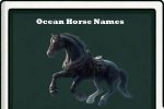 ocean horse names